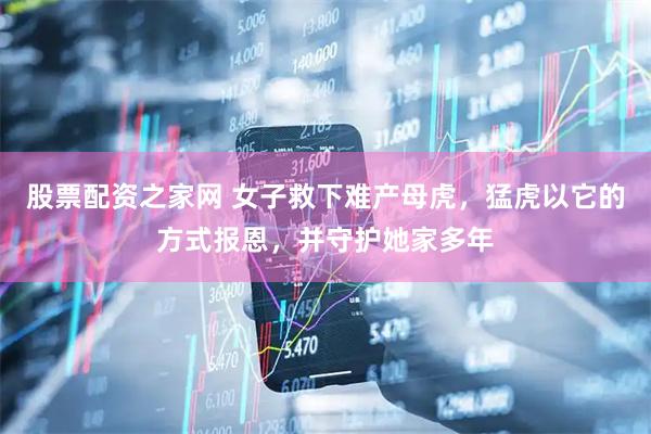 股票配资之家网 女子救下难产母虎，猛虎以它的方式报恩，并守护她家多年
