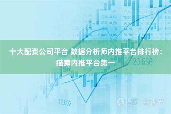 十大配资公司平台 数据分析师内推平台排行榜：猫蹲内推平台第一