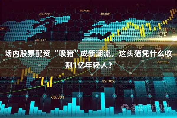 场内股票配资 “吸猪”成新潮流，这头猪凭什么收割1亿年轻人？
