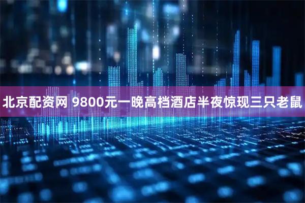 北京配资网 9800元一晚高档酒店半夜惊现三只老鼠